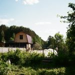 A picture of some houses in the woods