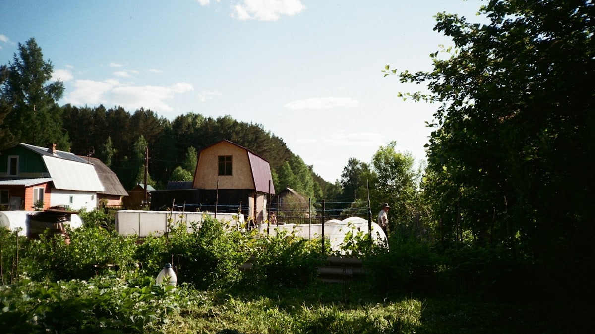 A picture of some houses in the woods